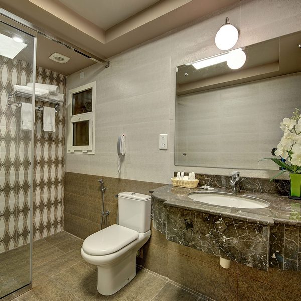 Suite room bathroom